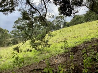 Lote Para Parcelar Sector Pontezuela (RIONEGRO)