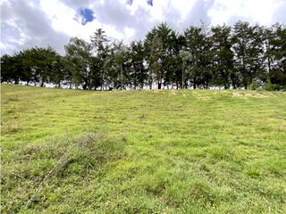 Lote Para Parcelar Sector Pontezuela (RIONEGRO)