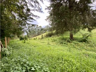 Lote Para Parcelar Sector Pontezuela (RIONEGRO)