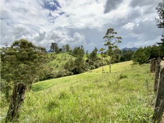 Lote Para Parcelar Sector Pontezuela (RIONEGRO)