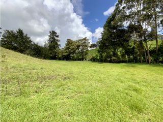 Lote Para Parcelar Sector Pontezuela (RIONEGRO)