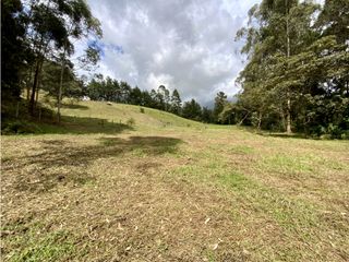 Lote Para Parcelar Sector Pontezuela (RIONEGRO)