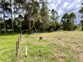 Lote Para Parcelar Sector Pontezuela (RIONEGRO)