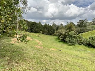 Lote Para Parcelar Sector Pontezuela (RIONEGRO)