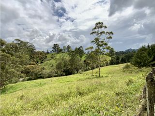 Lote Para Parcelar Sector Pontezuela (RIONEGRO)