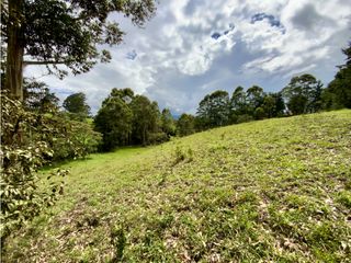 Lote Para Parcelar Sector Pontezuela (RIONEGRO)