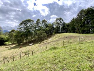 Lote Para Parcelar Sector Pontezuela (RIONEGRO)