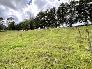 Lote Para Parcelar Sector Pontezuela (RIONEGRO)