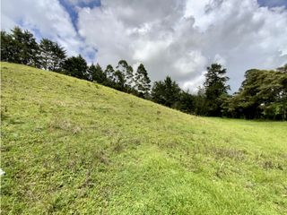 Lote Para Parcelar Sector Pontezuela (RIONEGRO)