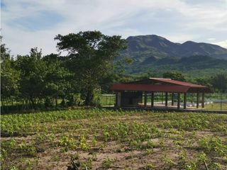 SE VENDE o ALQUILA TERRENO EN PENONOME