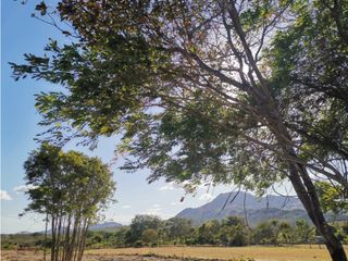 SE VENDE o ALQUILA TERRENO EN PENONOME