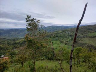 Foto 2 de VENDO LOTE EN YARUMAL ANTIOQUIA