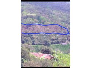 Foto 4 de VENDO LOTE EN YARUMAL ANTIOQUIA