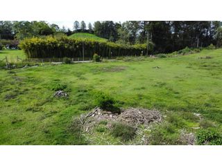 VENTA LOTE EN RIONEGRO SECTOR TABLAZO