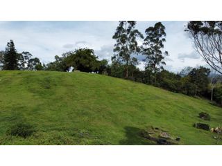 VENTA LOTE EN RIONEGRO SECTOR TABLAZO