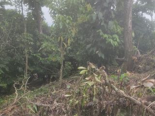 Foto 1 de VENTA FINCA CANTON URDANETA / PROV. LOS RIOS 3.6 HCTS. (AGE)
