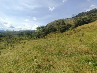 Foto 4 de Venta de lote campestre en Guatapé Antioquia