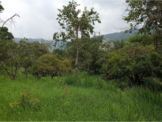 Finca en Venta en Pandi, Cundinamarca