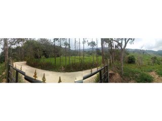 Finca en Venta en Pandi, Cundinamarca