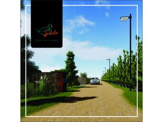 Foto 6 de VENTA DE  LOTES DE CAMPO DE  EN LOS MOLLES - SAN LUIS