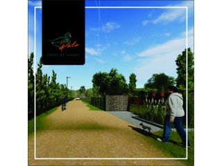 Foto 7 de VENTA DE  LOTES DE CAMPO DE  EN LOS MOLLES - SAN LUIS