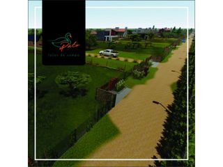 Foto 8 de VENTA DE  LOTES DE CAMPO DE  EN LOS MOLLES - SAN LUIS