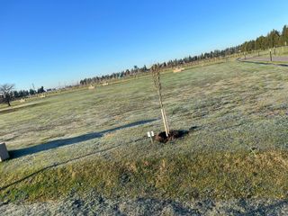 Foto 15 de VENTA DE LOTE/TERRENO EN LOS PASOS DEL JOCKEY 4 - FUNES