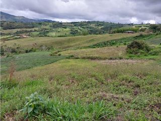 VENTA DE FINCA RESTREPO VALLE