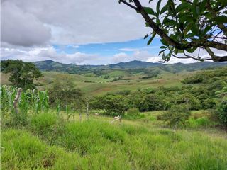 VENTA DE FINCA RESTREPO VALLE