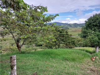 VENTA DE FINCA RESTREPO VALLE