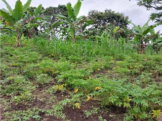 VENTA DE FINCA RESTREPO VALLE