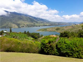 VENTA DE FINCA - CALIMA DARIEN