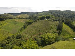 VENTA DE FINCA - RESTREPO VALLE