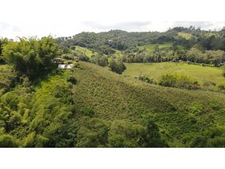 VENTA DE FINCA - RESTREPO VALLE