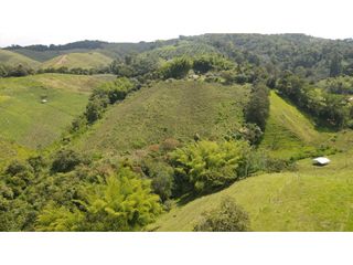 VENTA DE FINCA - RESTREPO VALLE