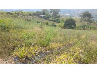 VENTA DE LOTE - RESTREPO VALLE