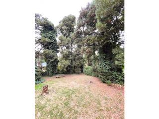 Foto 20 de VENTA CASA DE 4 AMB. C/ GARAGE, TERRAZA Y PARQUE. BOSQUE PERALTA RAMOS