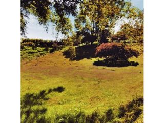 Foto 3 de VENTA DE LOTE EN MARINILLA DE 8.000 M2