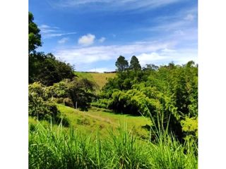 Foto 4 de VENTA DE LOTE EN MARINILLA DE 8.000 M2