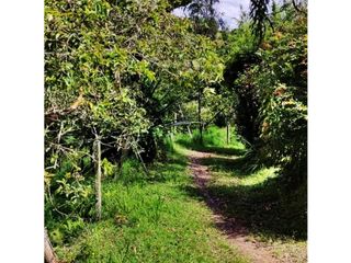 Foto 7 de VENTA DE LOTE EN MARINILLA DE 8.000 M2