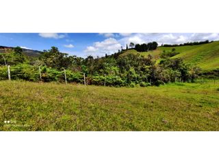 Foto 15 de VENTA DE LOTE EN MARINILLA DE 8.000 M2