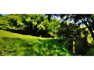 Foto 9 de VENTA DE LOTE EN MARINILLA DE 8.000 M2