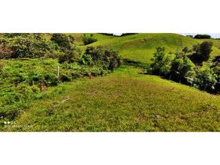 Foto 14 de VENTA DE LOTE EN MARINILLA DE 8.000 M2