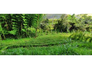 Foto 17 de VENTA DE LOTE EN MARINILLA DE 8.000 M2