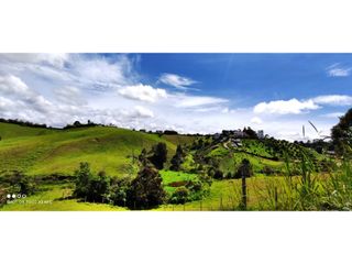 Foto 6 de VENTA DE LOTE EN MARINILLA DE 8.000 M2