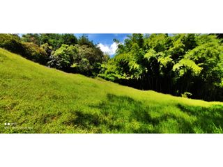 Foto 21 de VENTA DE LOTE EN MARINILLA DE 8.000 M2