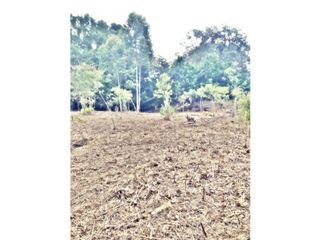 Foto 6 de LOTE EN VEREDA LOS PINOS