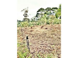 Foto 1 de LOTE EN VEREDA LOS PINOS