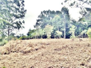 Foto 2 de LOTE EN VEREDA LOS PINOS