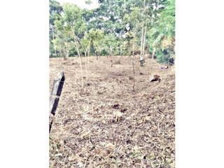 Foto 5 de LOTE EN VEREDA LOS PINOS